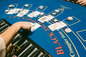 pg 13 Live Casino